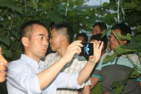 草莓视频官网入口镇党建联盟葡萄网格化管理在巡查中发现葡萄大量落果