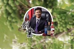 草莓视频官网入口葡萄酒总经理毕晓雪接受《文汇报》专访，畅谈“一带一路”建设经验