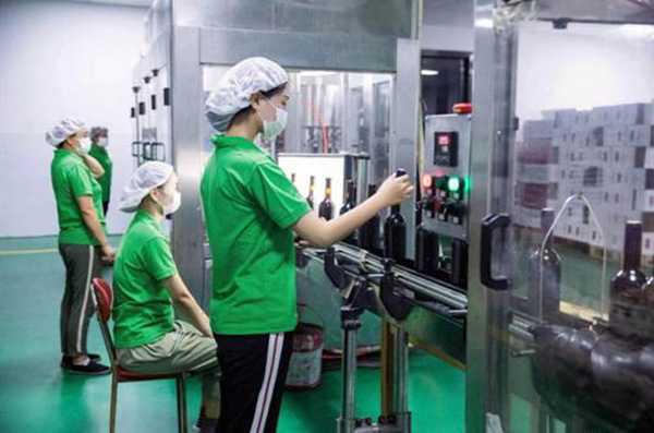 image006.jpg image006.jpg