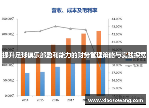 提升足球俱乐部盈利能力的财务管理策略与实践探索