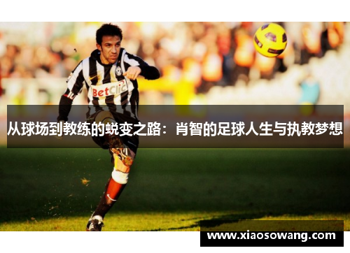 从球场到教练的蜕变之路:肖智的足球人生与执教梦想