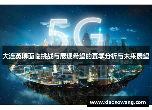 大连英博面临挑战与展现希望的赛季分析与未来展望