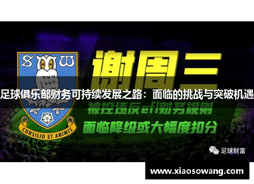 足球俱乐部财务可持续发展之路：面临的挑战与突破机遇